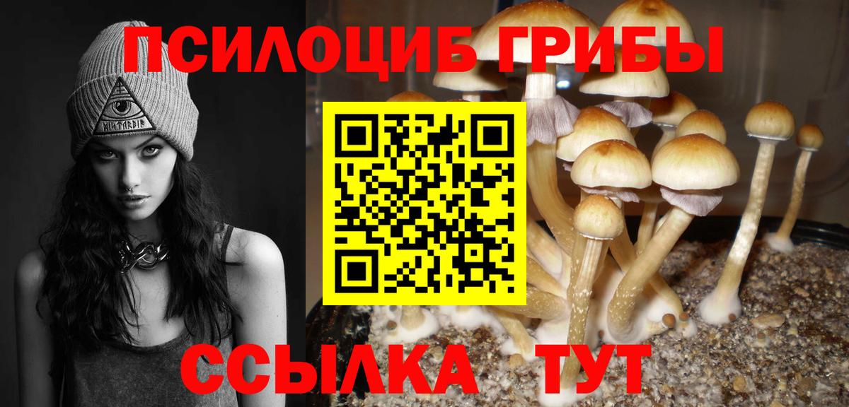 Майский  Галлюциногенные грибы Psilocybine cubensis  Вход с VPN 